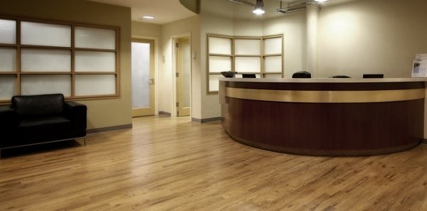 1815281443_PF7bz8dj_NY-0107_28229