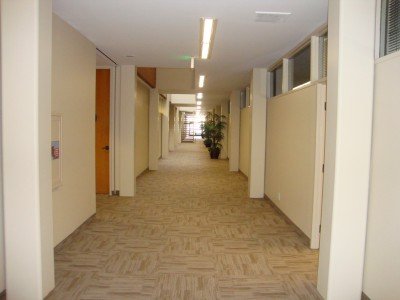 vizline_centers_ca_0203-Hall