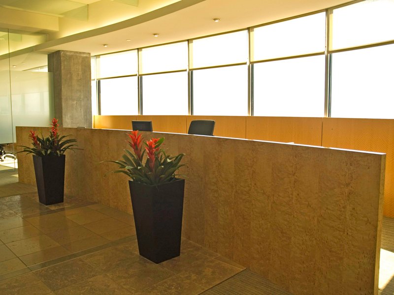 vizline_centers_ca_0209-Building-Recept1