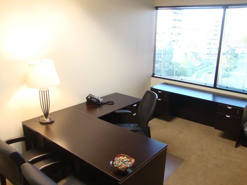 vizline_virtual_office_business_center_CA-0225_5