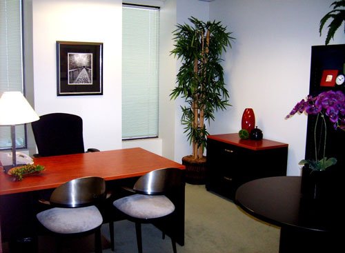 vizline_virtual_office_business_center_CA-0232_3